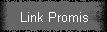 Link Promis